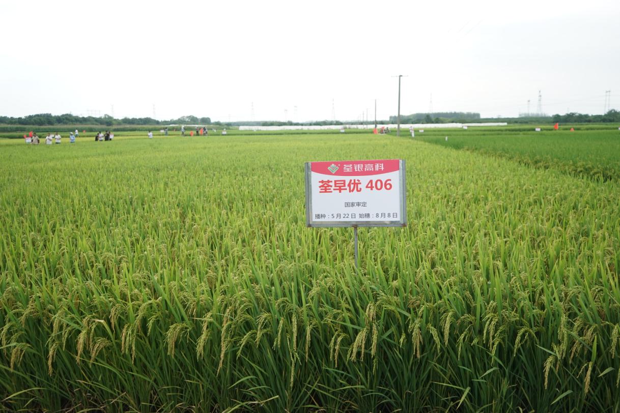 荃早優4062.jpg 荃早優4062.jpg