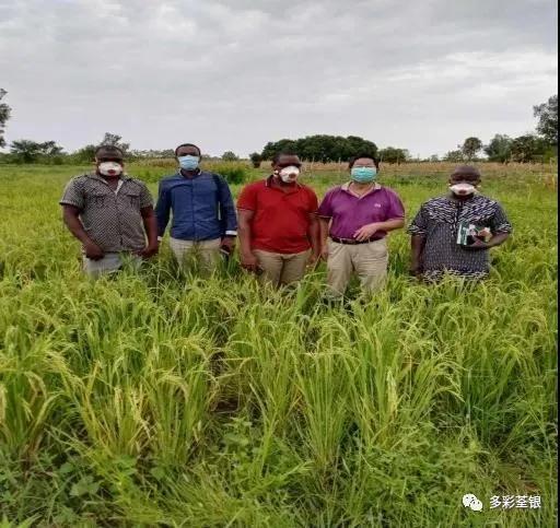 微信圖片_20200721102418.jpg 微信圖片_20200721102418.jpg